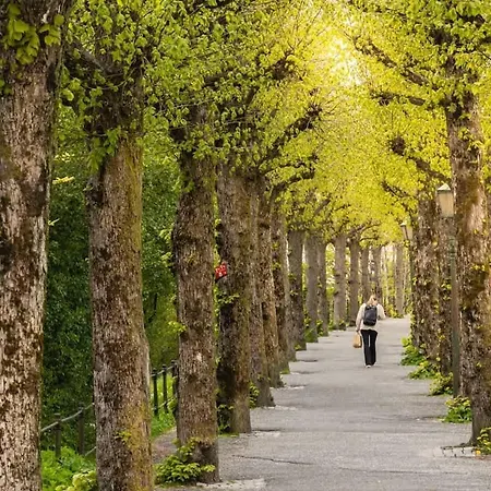 Dinbnb L 500m To The Market! 65 Sqm Of Comfort & Luxury