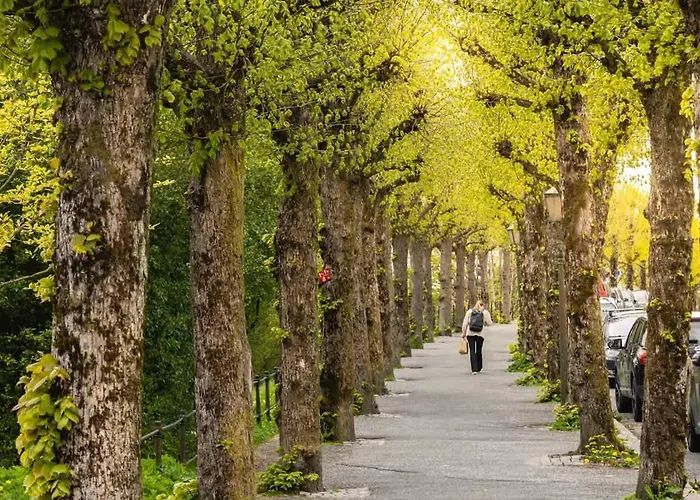 Dinbnb L 500m To The Market! 65 Sqm Of Comfort & Luxury